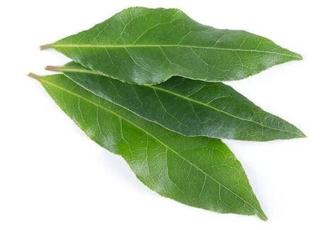 NEOflorax vsebuje lovorjev list