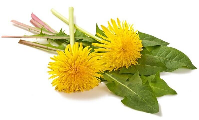 NEOflorax vsebuje regrat